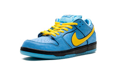 NIKE
SB DUNK LOW 